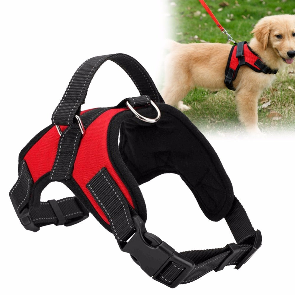 👉 Livy’s Comfort Fit Harness 🐶❤️ Adjustable Dog Harness for Everyday Walks (Copy)