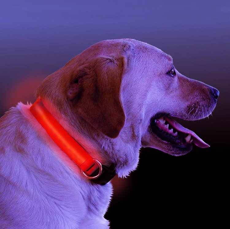 👉 Livy’s Night Glow Safety Collar 🌙🐶 LED Light-Up Collar for Dogs