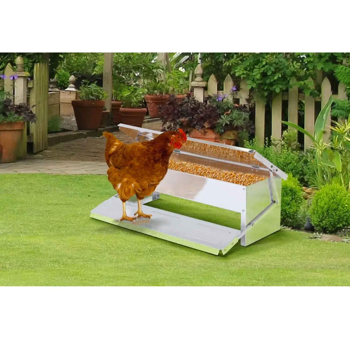 8L Automatic Chook Chicken Feeder Poultry Auto Treadle Aluminium Metal