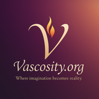Vascosity Partner Logo