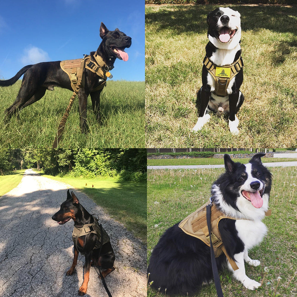 👉 Livy’s Control & Comfort Harness 🐶🛡️ Tactical Dog Harness & Leash Set