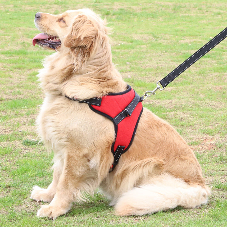 👉 Livy’s Comfort Fit Harness 🐶❤️ Adjustable Dog Harness for Everyday Walks (Copy)