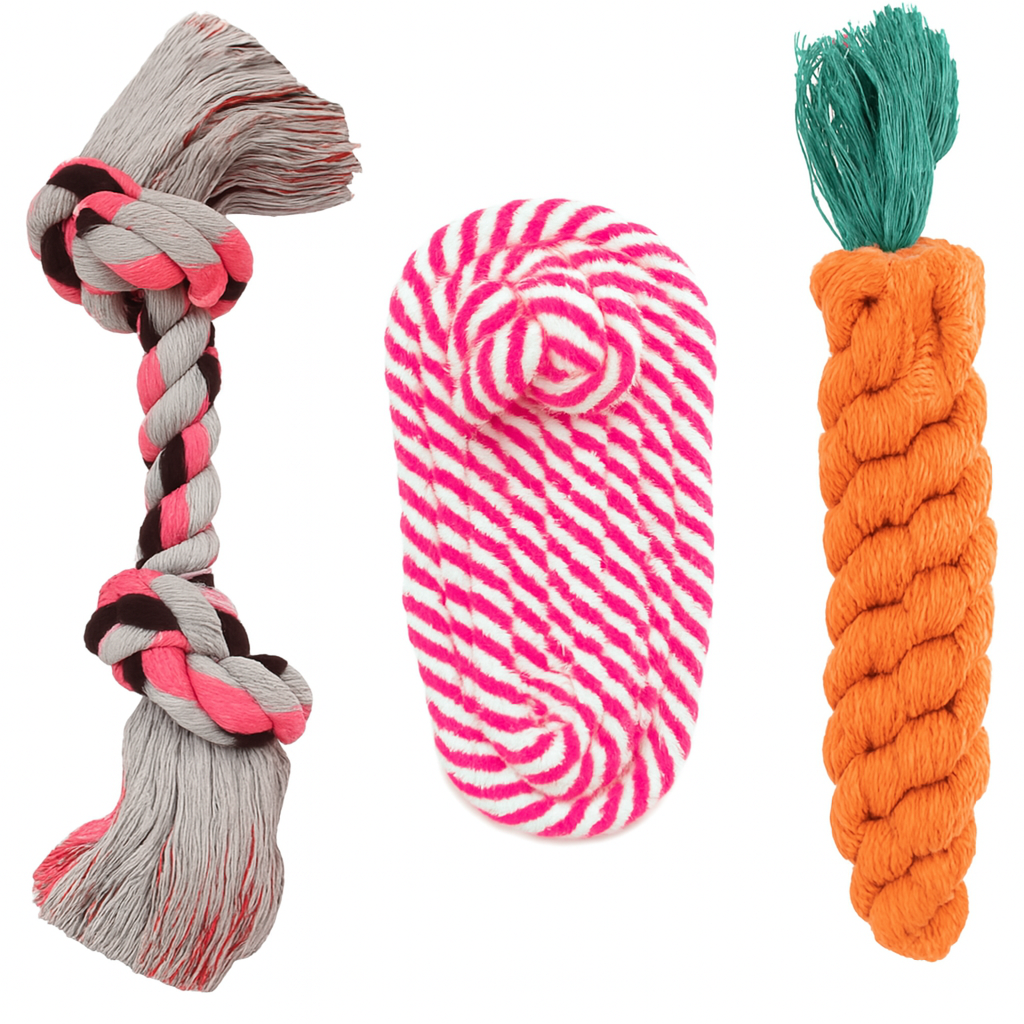 Green and Orange Dog Chew Set