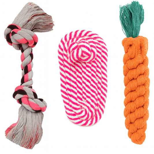 Green and Orange Dog Chew Set